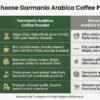 arabica coffee powder