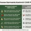 Kashmiri chilli powder table